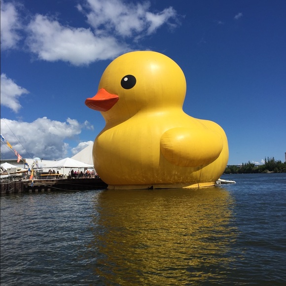 Meet your Posher, Amy - Picture 1 of 2